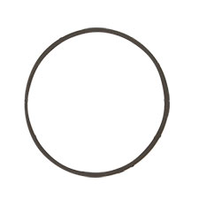 Bosch 1-611-015-061 Rectangular Ring