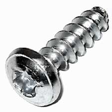 Bosch 1613490008 Torx Oval-head Screw