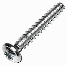 Bosch 1613490009 Torx Oval-head Screw