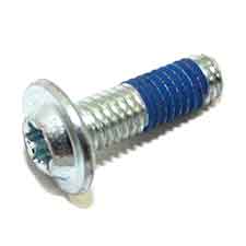 Bosch 1613490010 Torx Oval-head Screw