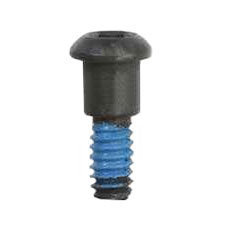 Bosch 1619X04738 Screw