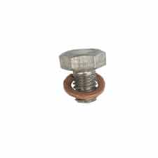 Briggs and Stratton 190655GS Grub Screw & Washer