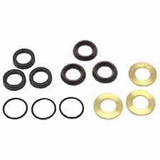 Briggs and Stratton 190660GS Kit, Seal Water