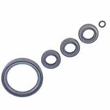 Briggs and Stratton 194425GS Kit, Seal Oil