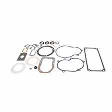 Briggs and Stratton 299719 Gasket Set-engine