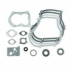 Briggs and Stratton 496659 Gasket Set-engine