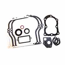 Briggs and Stratton 555210 Gasket Set-engine