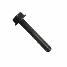 Briggs and Stratton 690698 Screw