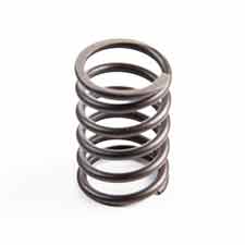 Briggs and Stratton 691279 Spring-valve