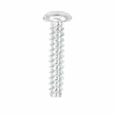 Briggs and Stratton 696895 Screw