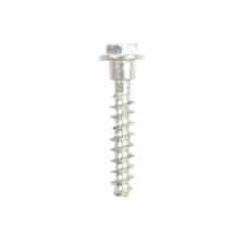 Briggs and Stratton 697088 Screw