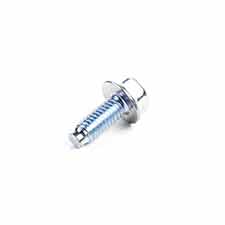 Briggs and Stratton 699481 Screw