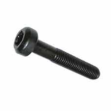 Briggs and Stratton 791118 Screw