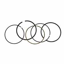 Briggs and Stratton 795688 Ring SET-020