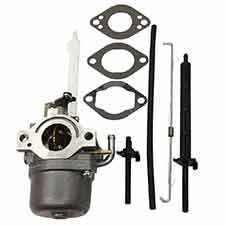 Briggs and Stratton 796122 Carburetor