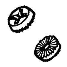 DeWalt 479317-01 Lock Washer