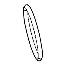 DeWalt N218672 O-ring