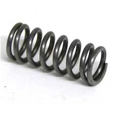 Delta 1349831 Spring