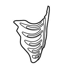 Hitachi 886-741 Protector  NT65M2S