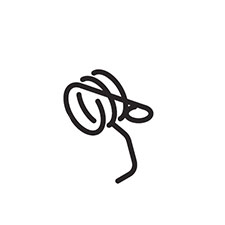 Makita 231693-4 Torsion Spring 4