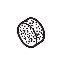 Makita SC00000020 Magnet, SC190DWDE