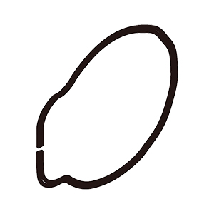 Makita SE00000730 Speaker Holder Packing, XRM09B