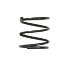 Ridgid 079071001034 Spring