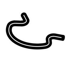 Ridgid 079071001064 C-ring