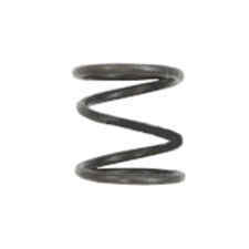 Ridgid 089240003017 Spring