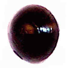 Ridgid BS90110101 Rubber Bumper