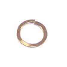 Ryobi 6956901 Spring Washer